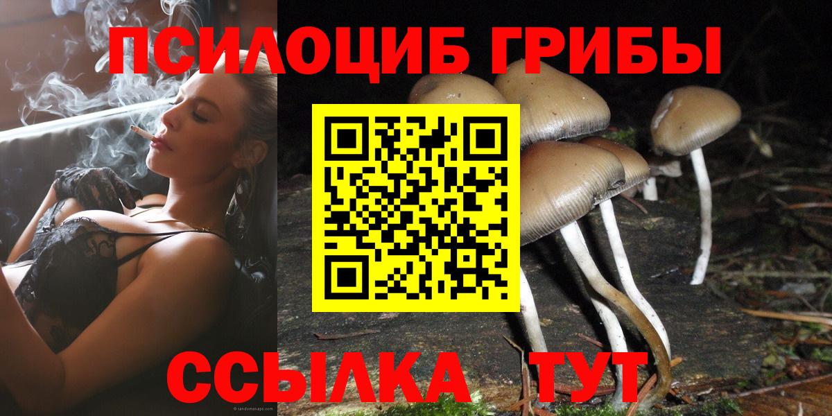 Бахчисарай  Псилоцибиновые грибы GOLDEN TEACHER  Вход с VPN 
